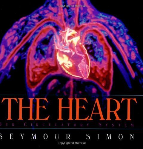 The Heart: Our Circulatory System - 9881