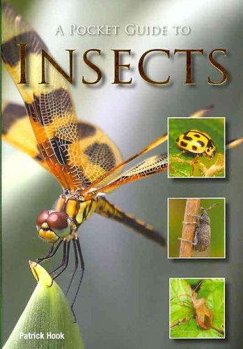 A Pocket Guide to Insects - 451