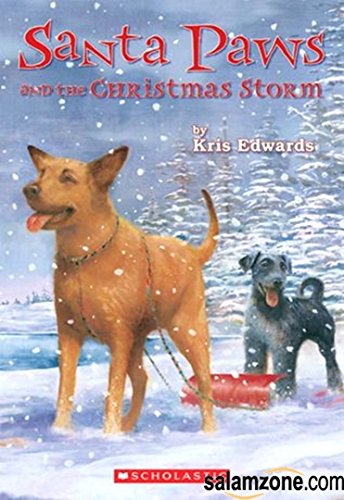 Santa Paws and the Christmas Storm - 4789