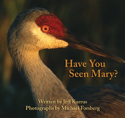 Have You Seen Mary? - 6274