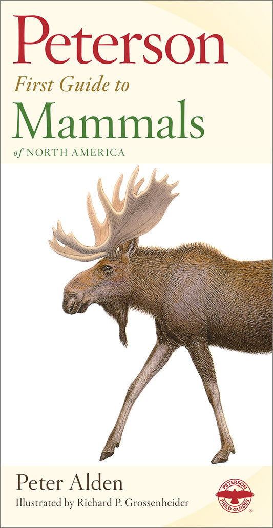 Peterson First Guide To Mammals Of North America - 356