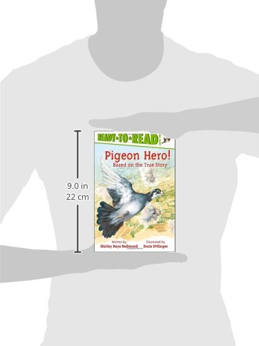 Pigeon Hero!: Ready-to-Read Level 2 - 5316