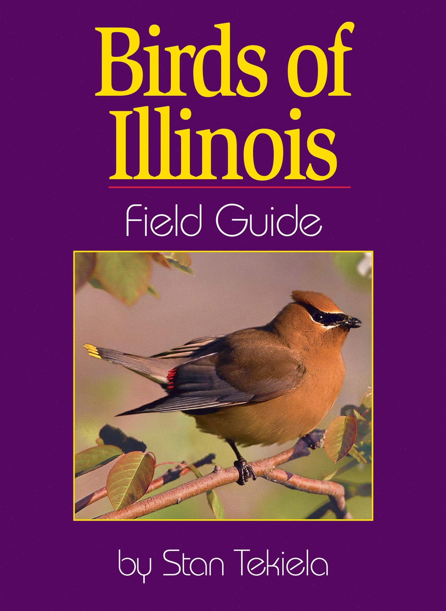 Birds of Illinois Field Guide - 3637