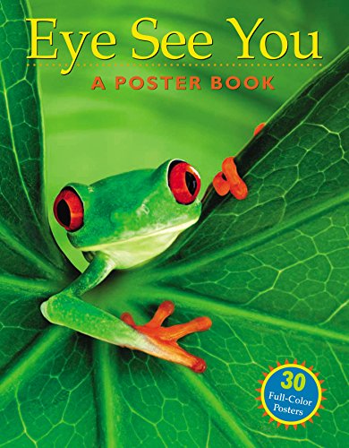 Eye See You: A Poster Book - 1643