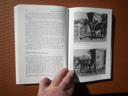 Basic Training for Horses (Doubleday Equestrian Library) - 9912