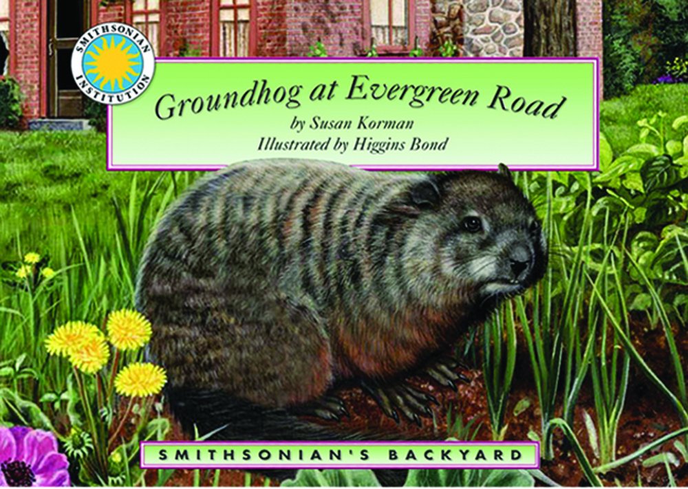 Groundhog at Evergreen Road - 9744