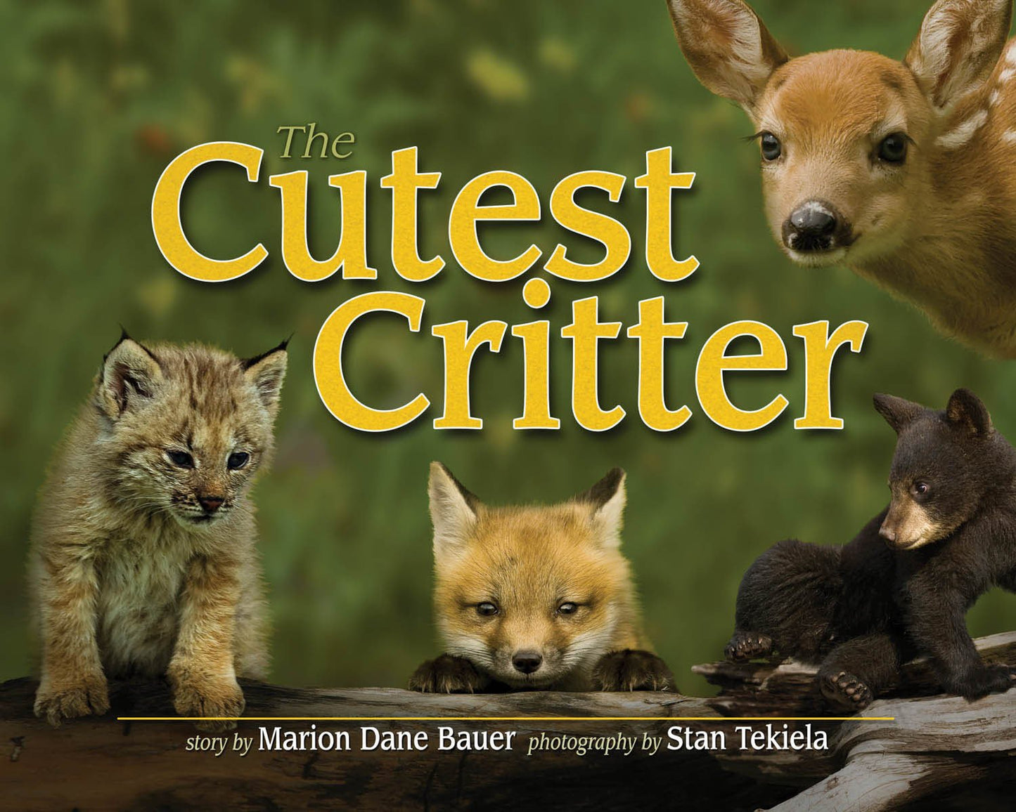 Cutest Critter (Wildlife Picture Books) - 2079