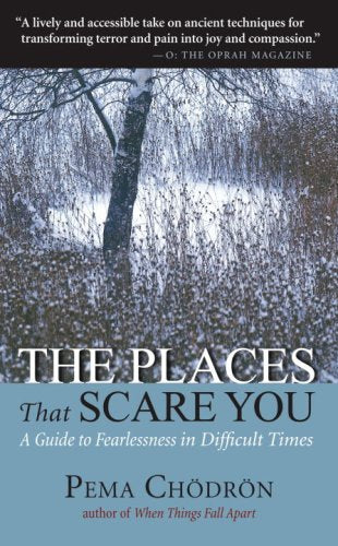 The Places That Scare You: A Guide to Fearlessness in Difficult Times - 2518