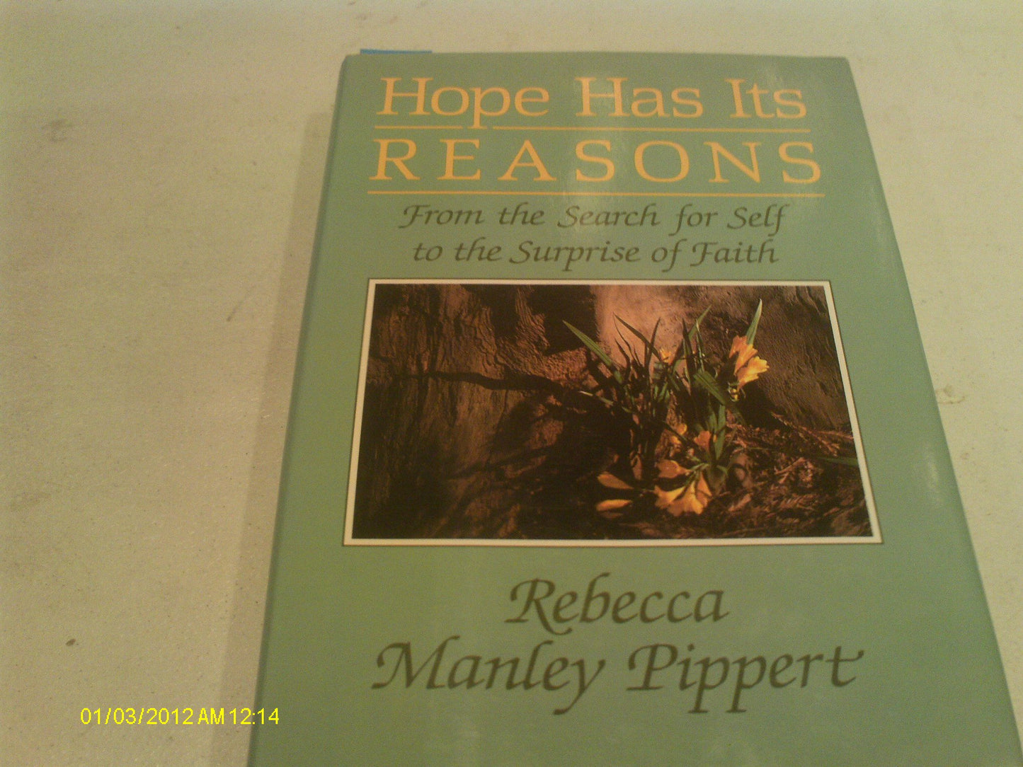 Hope Has Its Reasons: From the Search for Self to the Surprise of Faith