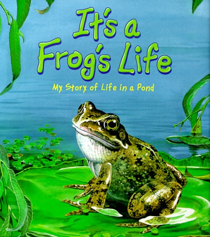 It's a Frog's Life - 6909