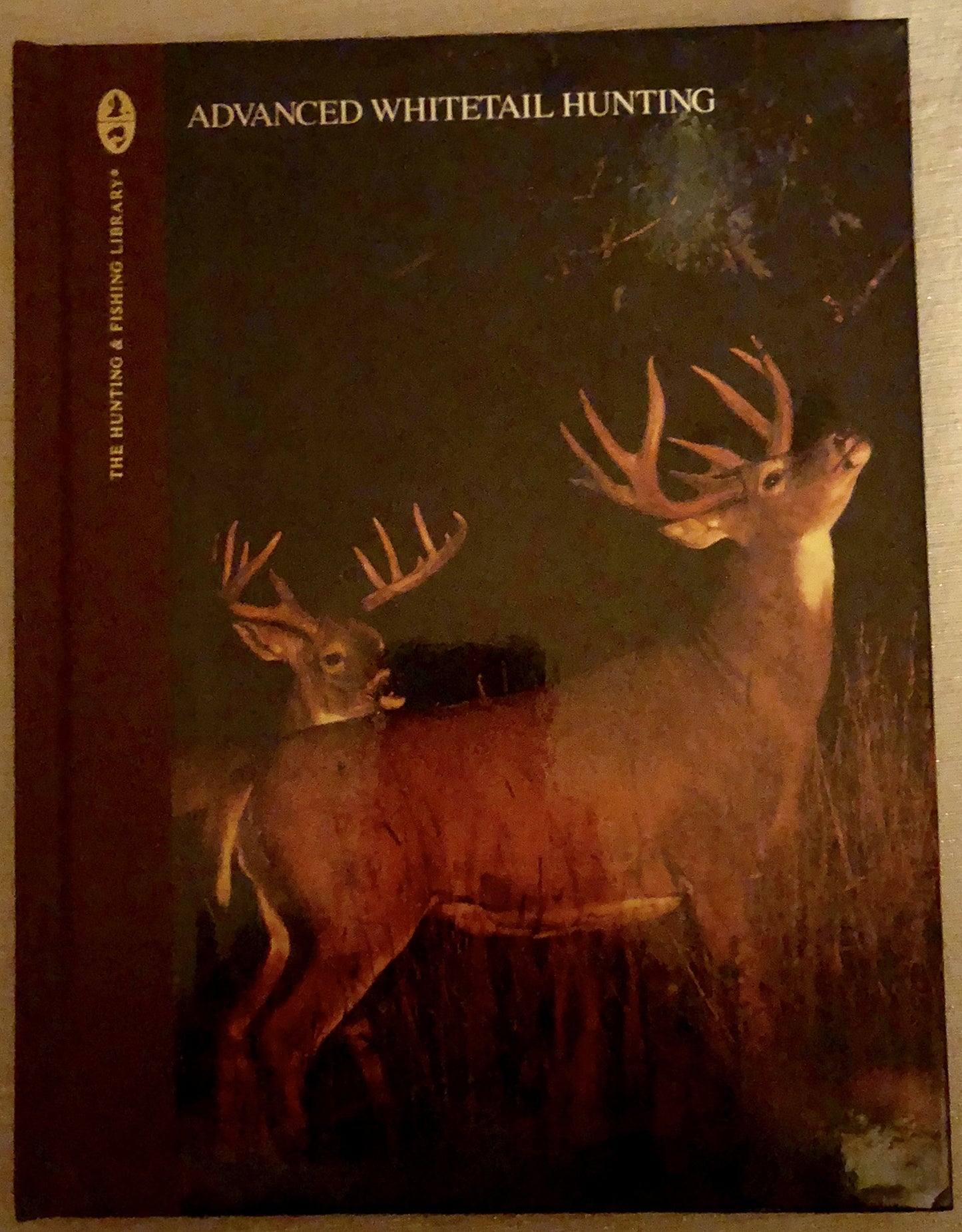 Advanced Whitetail Hunting (The Complete Hunter) - 7622